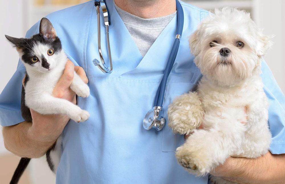 Pet finishing care